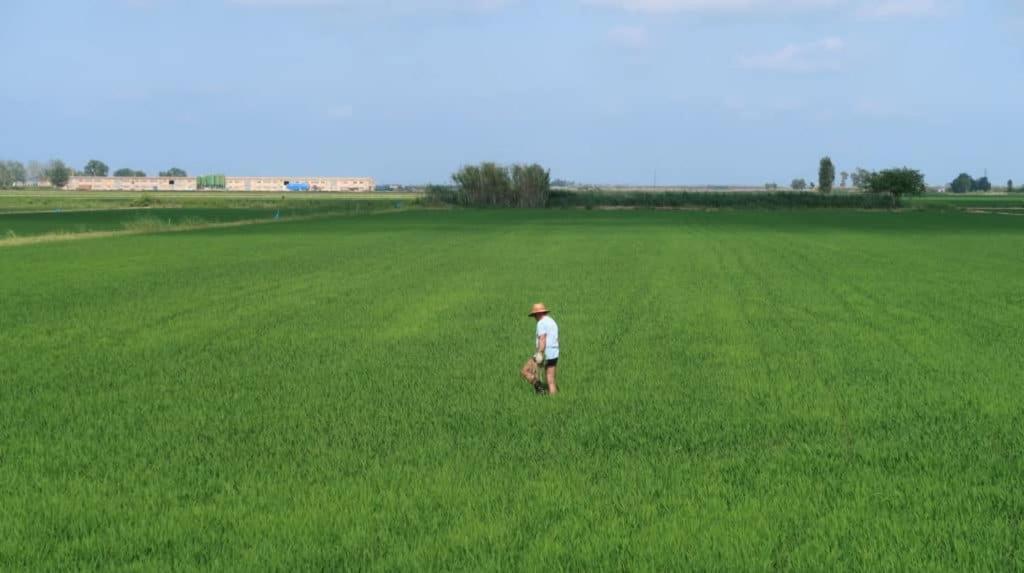 Mas De Melonet Delta Del Ebro Βίλα L'Aldea Εξωτερικό φωτογραφία